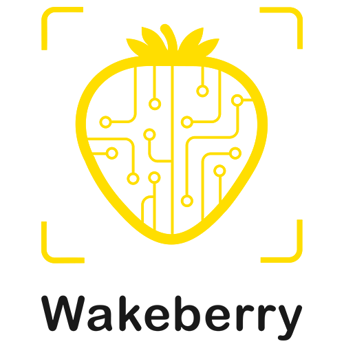 Wake Take Logo